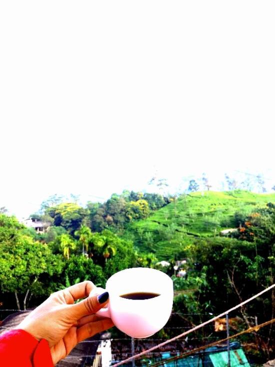 Richard Homestay Ella Ngoại thất bức ảnh